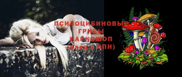 spice Алзамай
