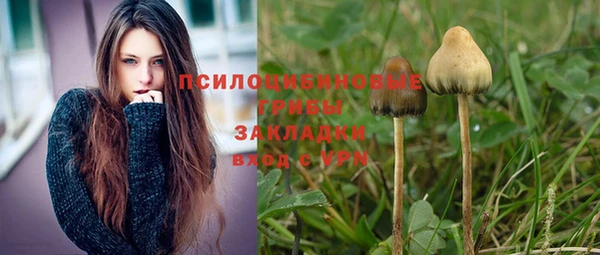 spice Алзамай