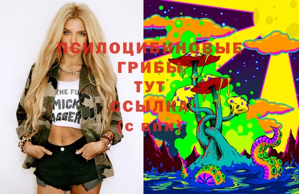spice Алзамай