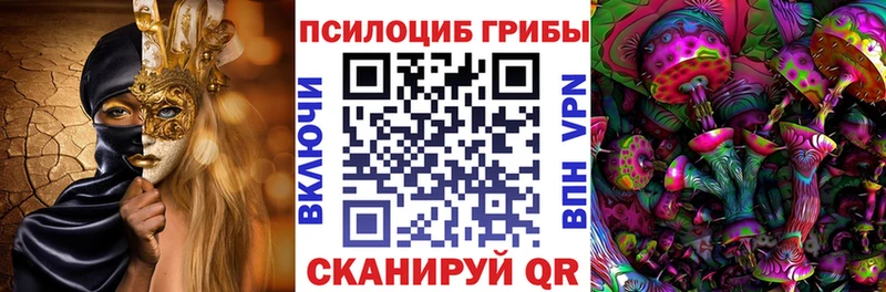 omg tor  Печоры  Галлюциногенные грибы прущие грибы 